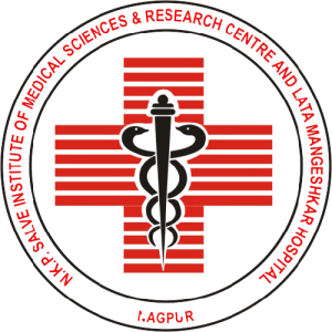 N K P Salve Institute of Medical Sciences, Hingna road, Nagpur logo